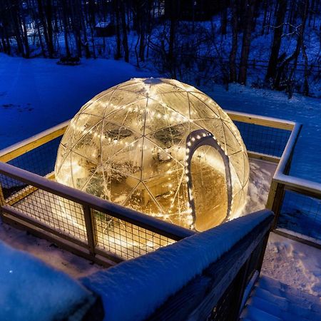 The Moondance Cabin By Lightfoot Stays Vacation Rentals سيفيرفيل المظهر الخارجي الصورة