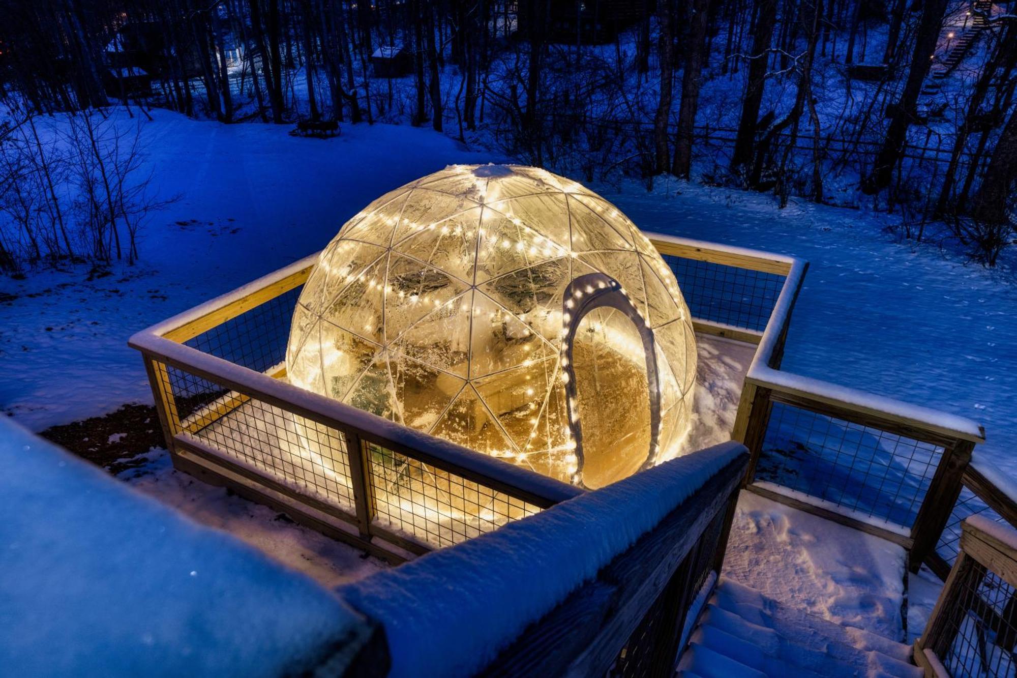 The Moondance Cabin By Lightfoot Stays Vacation Rentals سيفيرفيل المظهر الخارجي الصورة